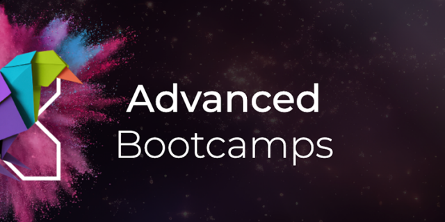 4-Hour Advanced Bootcamp