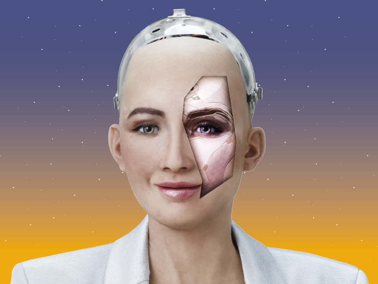 A Sophia the Robot