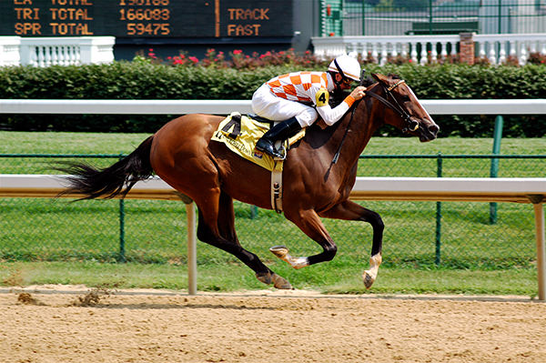 Triple Crown Horse Betting