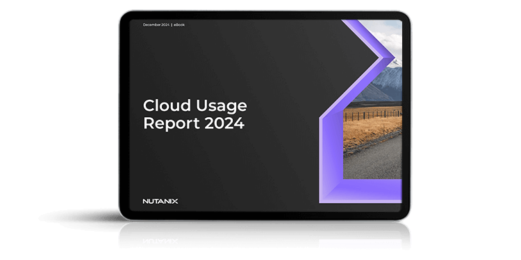 Cloud Usage Report 2024