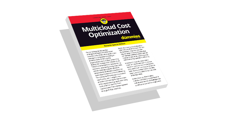 Multicloud Cost Optimization for Dummies